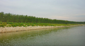 Po river - Emilia Romagna Region, Italy